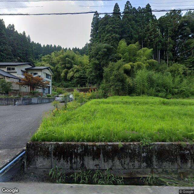 出沒照片 1
