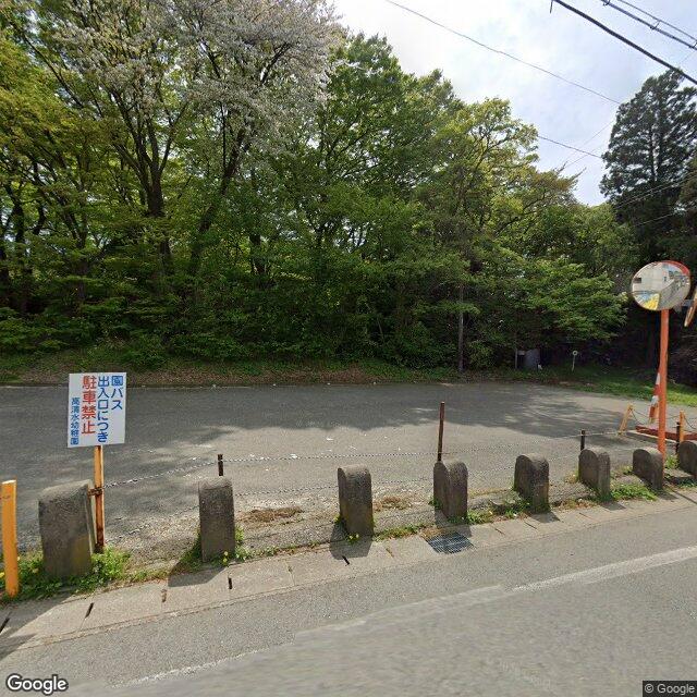 Akita Terauchi-Ohata, Akita