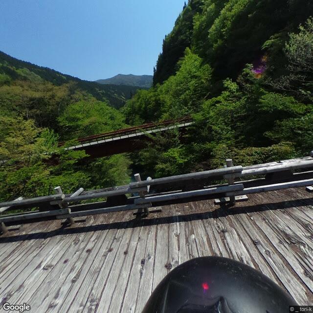 出没写真 1