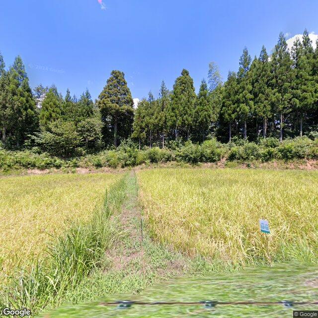 Echizen Hirono, Fukui