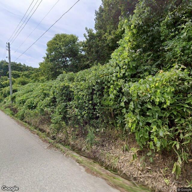 Sakegawa Niwazuki, Yamagata