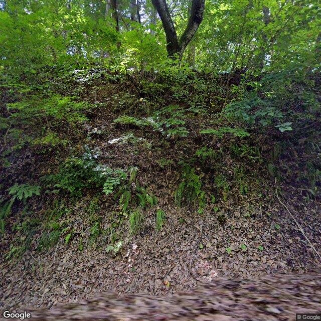 山形県河北町西里字根際山