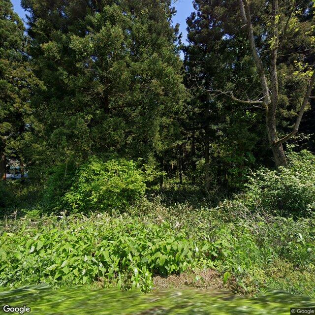 Akita, Akita