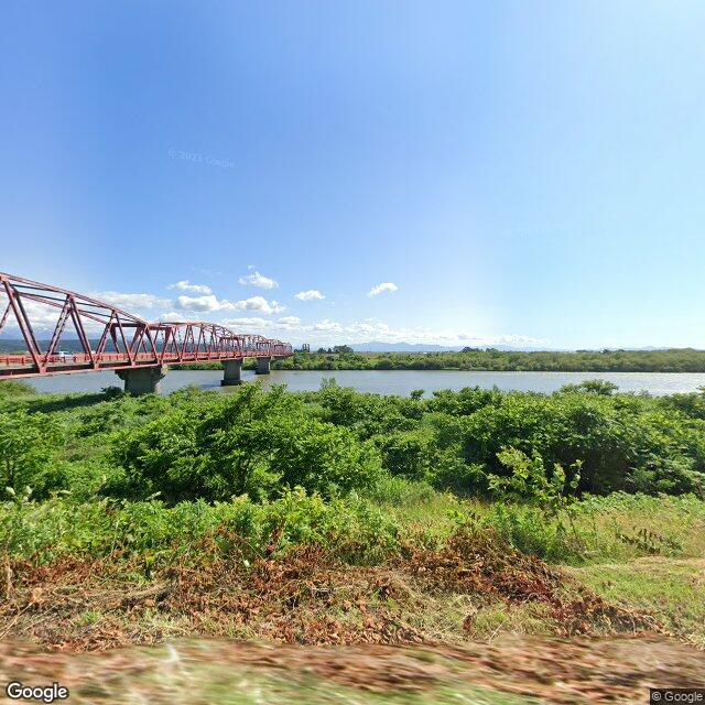 出没写真 1
