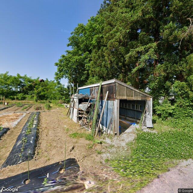 山形県飯豊町椿