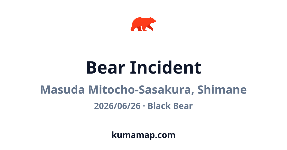 Black Bear in Masuda Mitocho-Sasakura, Shimane (Jun 26, 2026