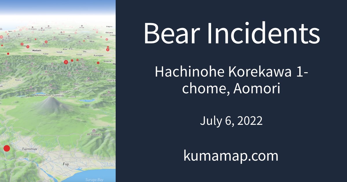 専用　ブラックベア　picture 専用 ブラックベア picture 専用 ブラックベア picture 商品一覧