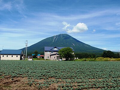 Makkari