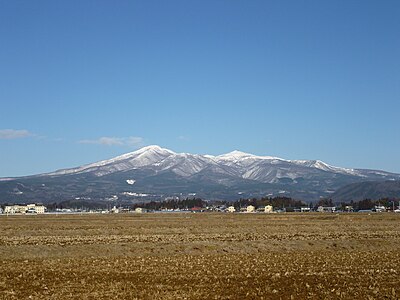 Otama