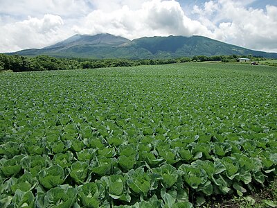 嬬恋村