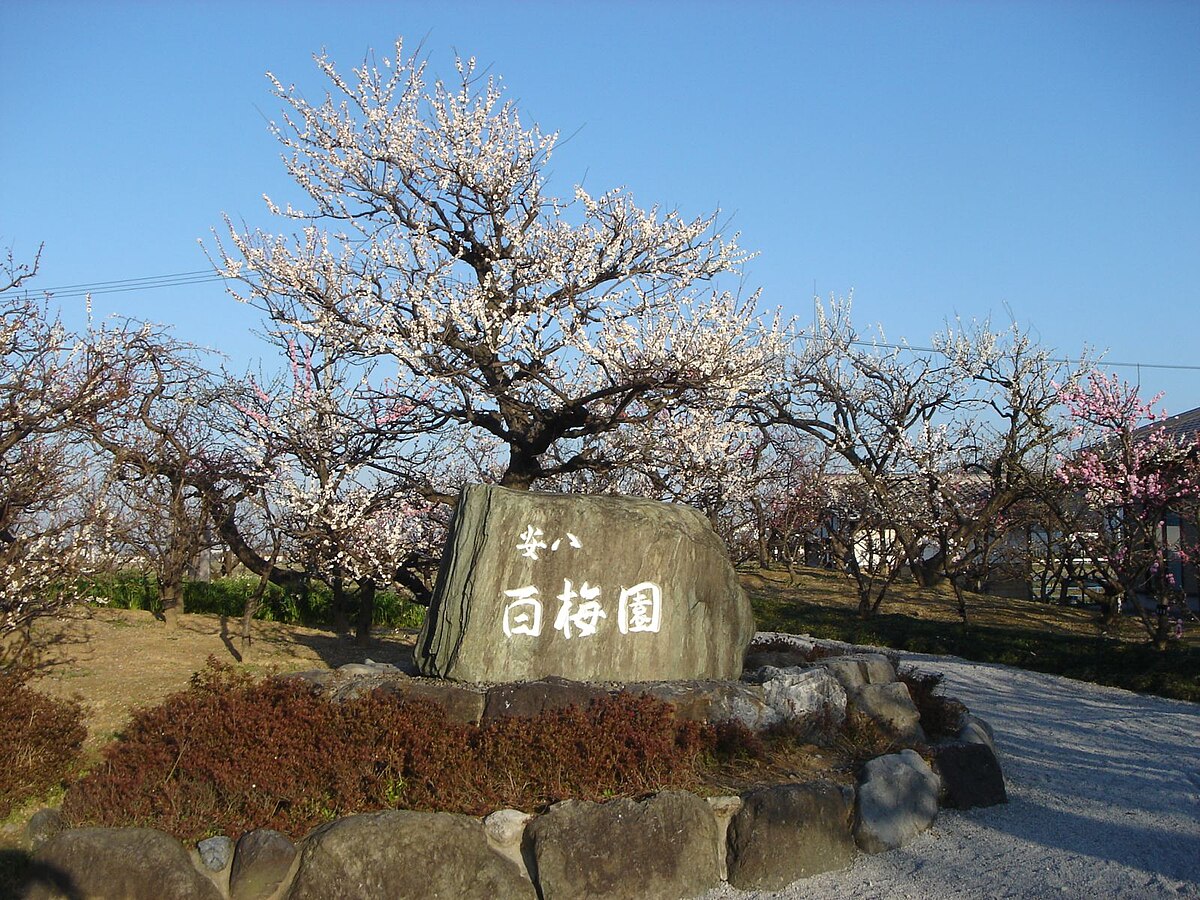 安八町