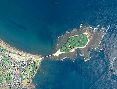 青島