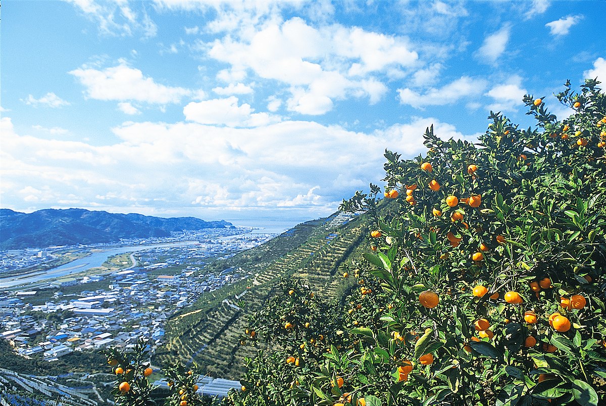 有田市