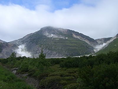 Atosa Nupuri