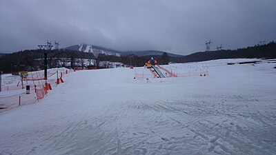 Nagawa