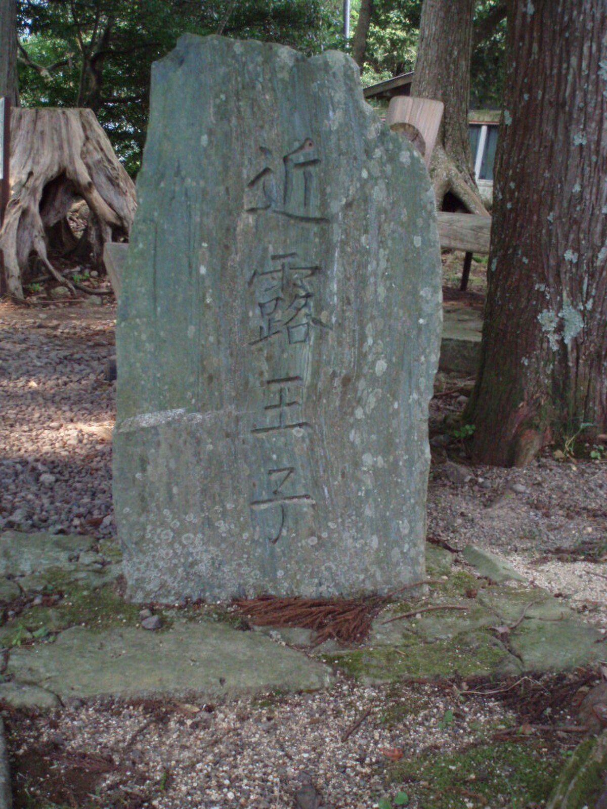 近露王子
