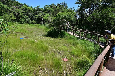 武豊町