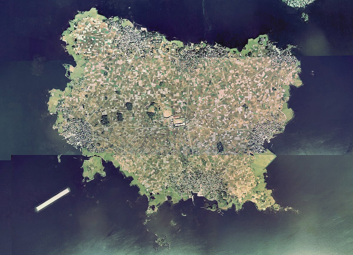 大根島