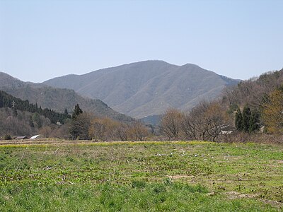大万木山