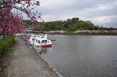 藤枝市
