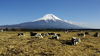 富士宮市