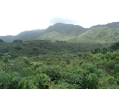 古見岳