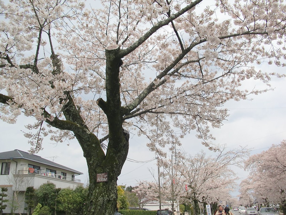 Tomioka
