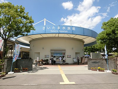 Hanyu