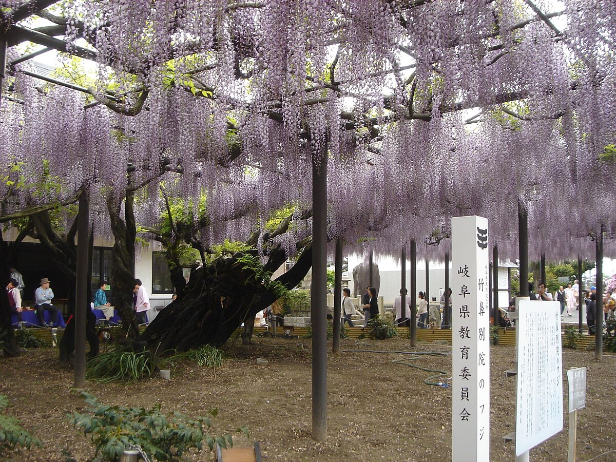 羽島市