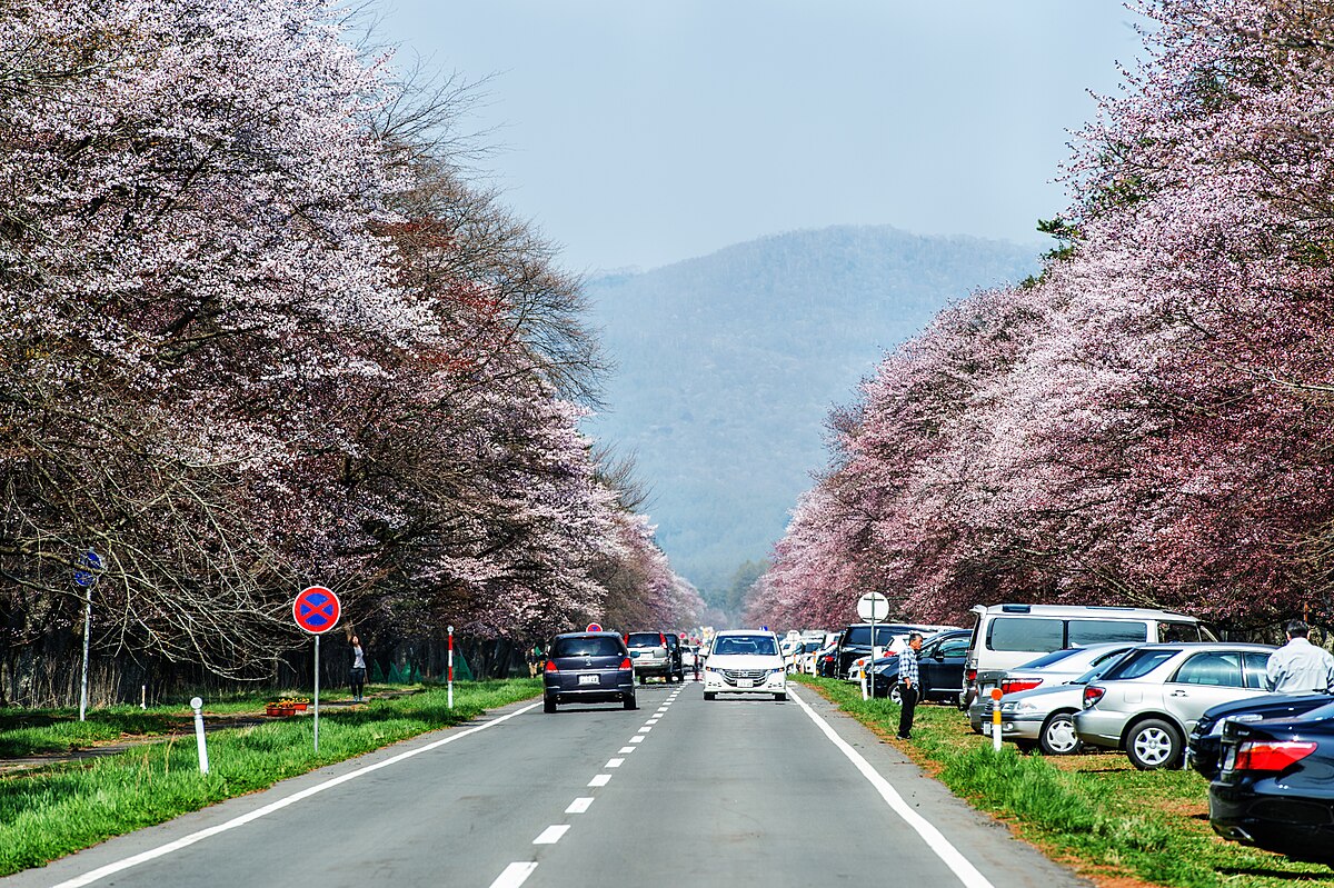 新ひだか町