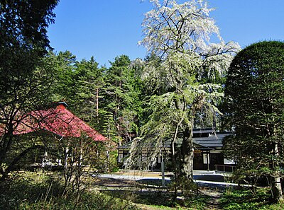 山形村