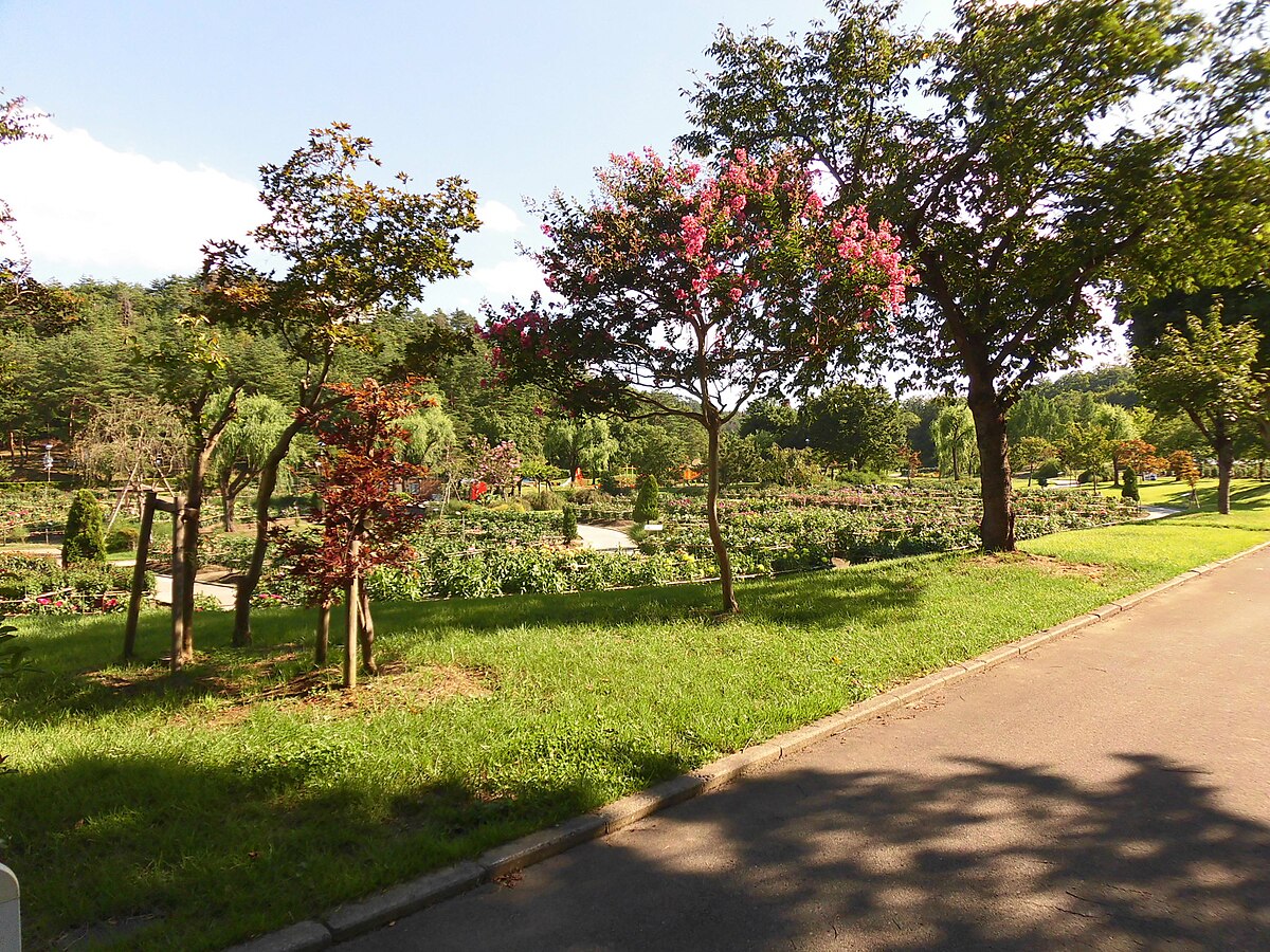 川西町