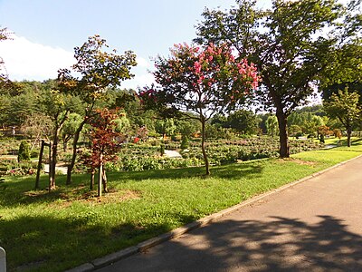 Kawanishi