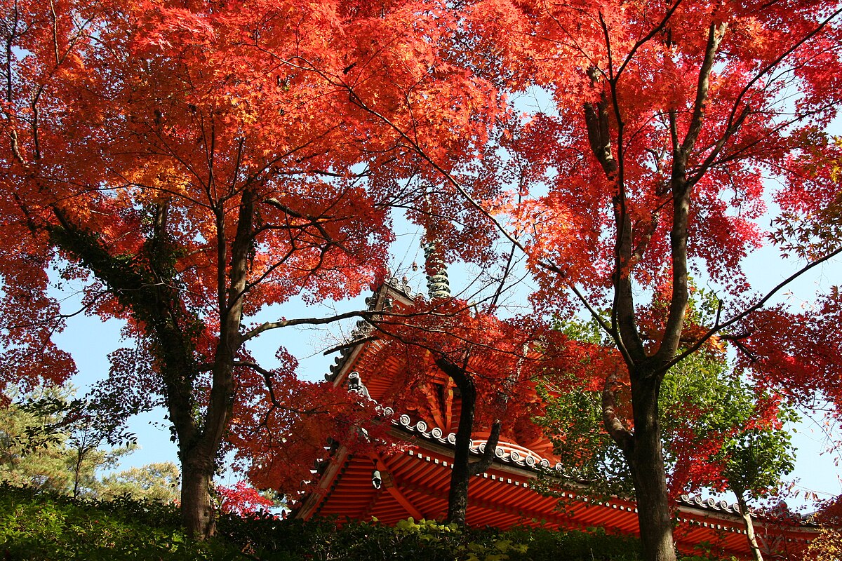 広島市西区