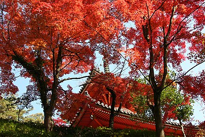 Nishi Ward, Hiroshima