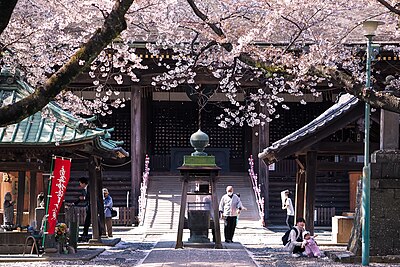 市川市