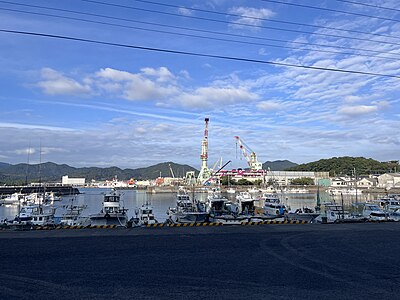 Ichikikushikino