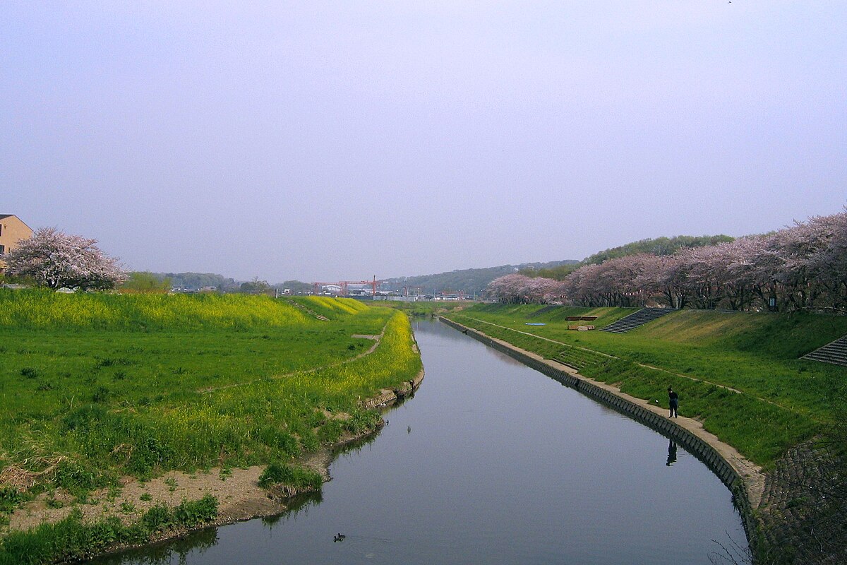 市野川