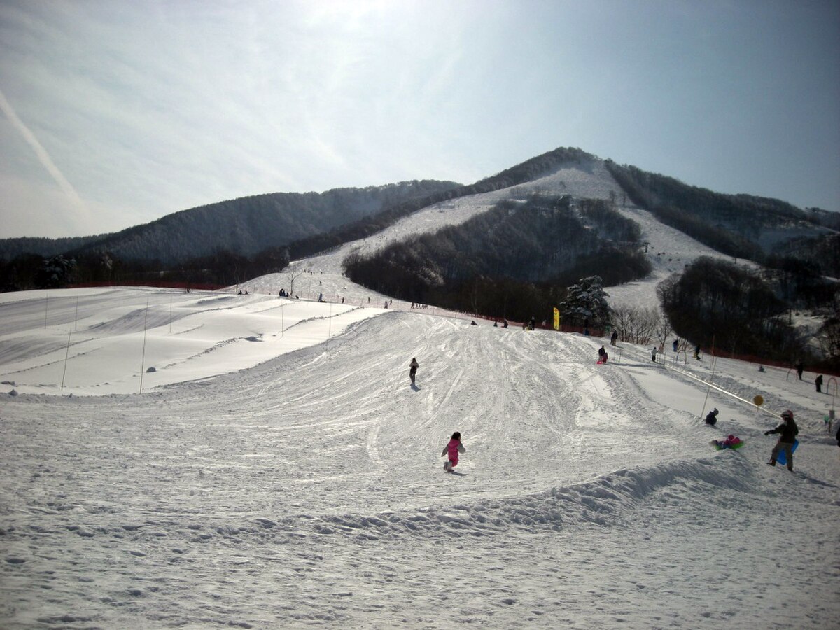 Iiyama