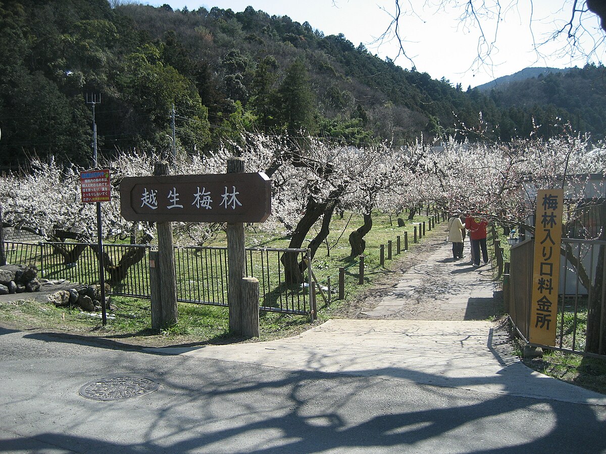 越生町