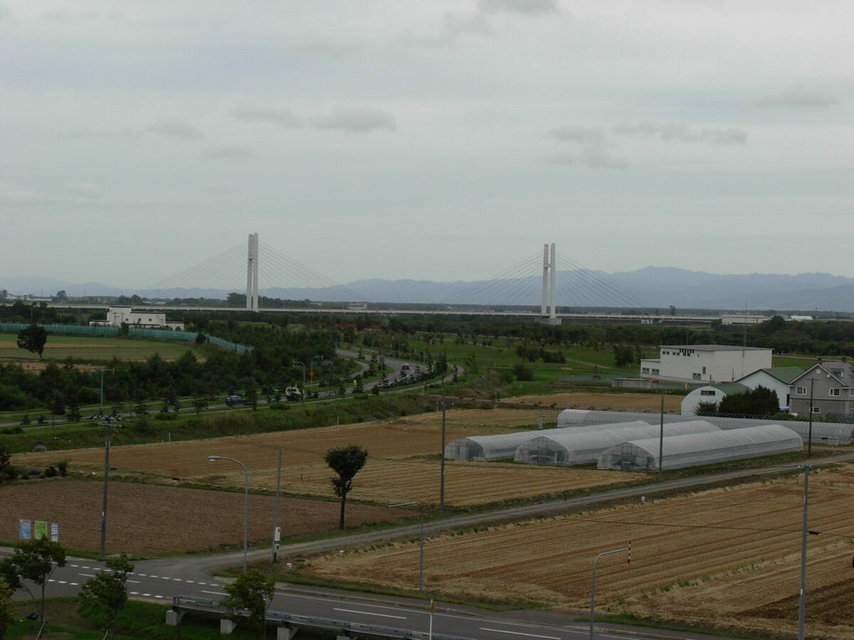 新篠津村