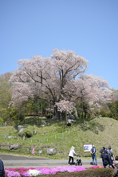 古殿町