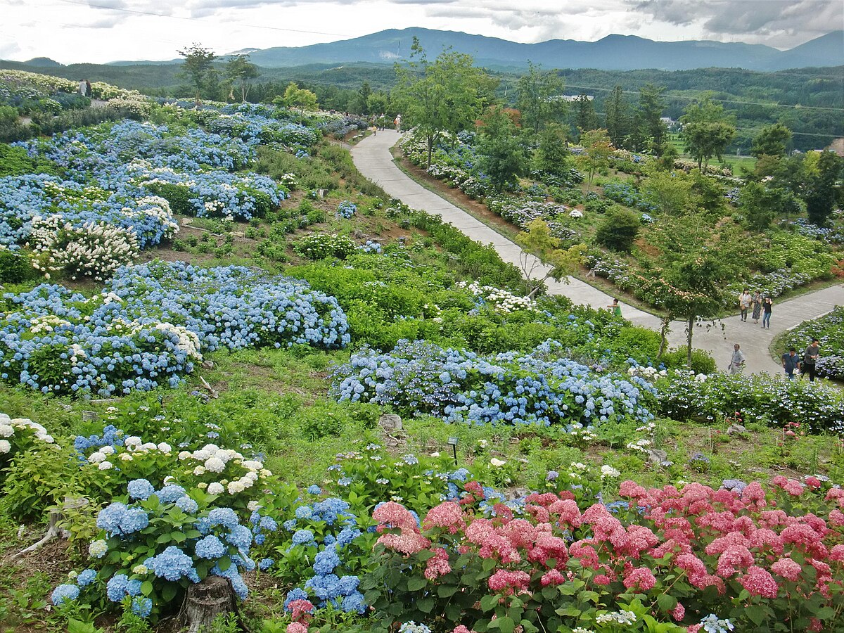 平田村