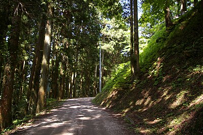 Iwamura Castle