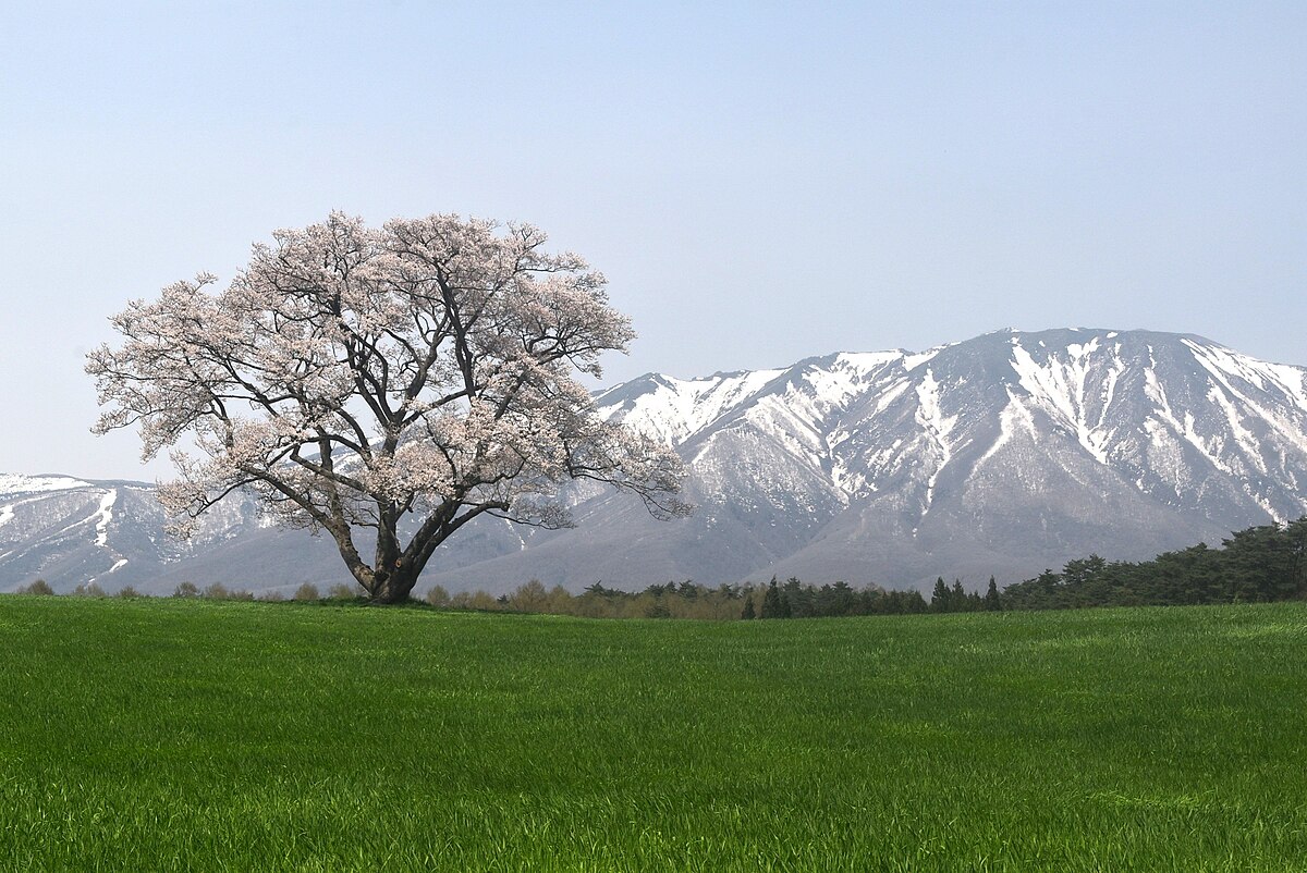 Shizukuishi