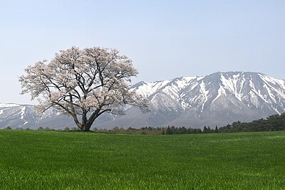 雫石町