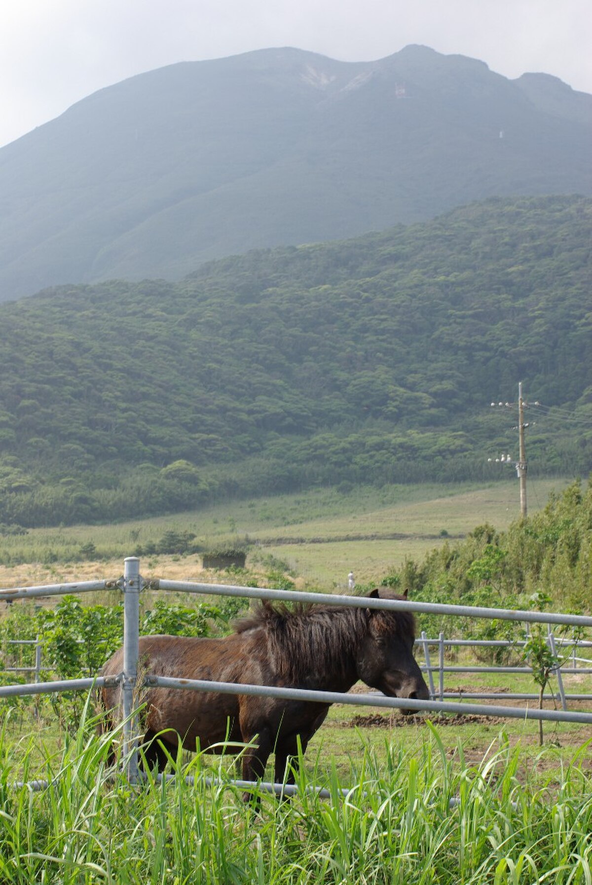 十島村