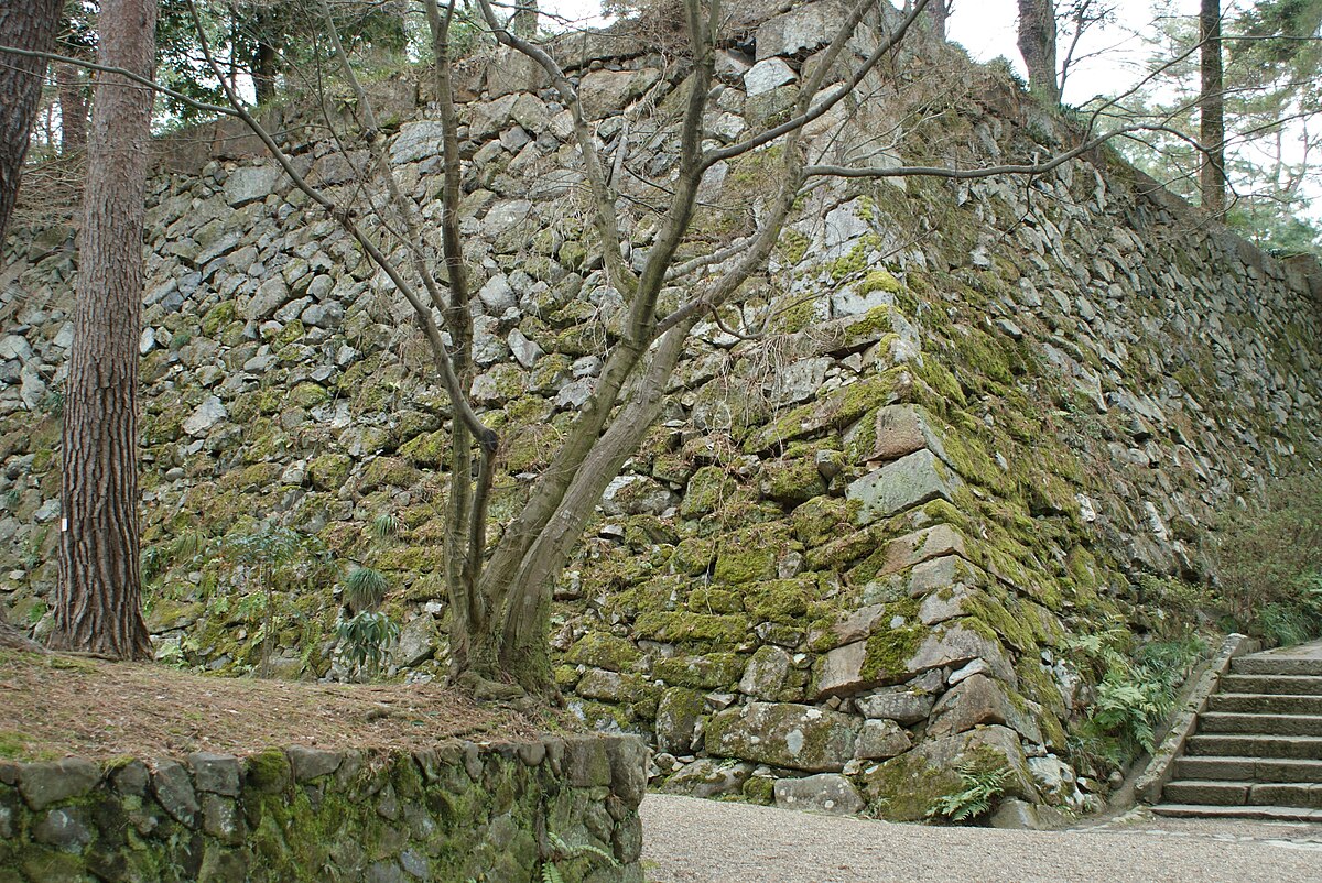 Kameyama Castle