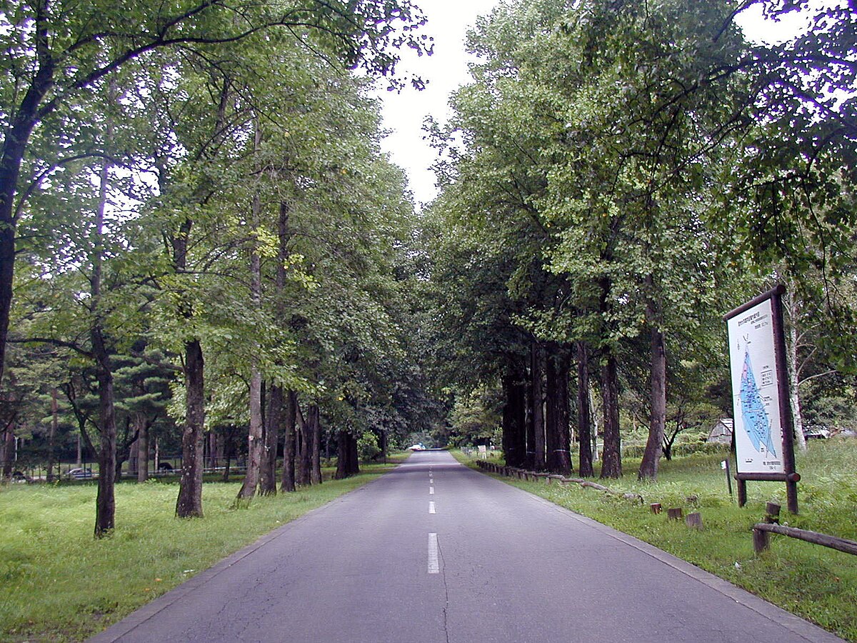 Minamiminowa