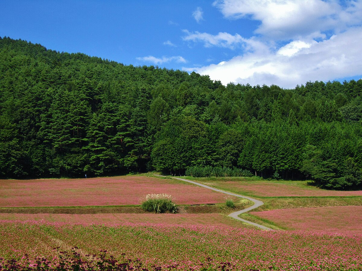Minowa